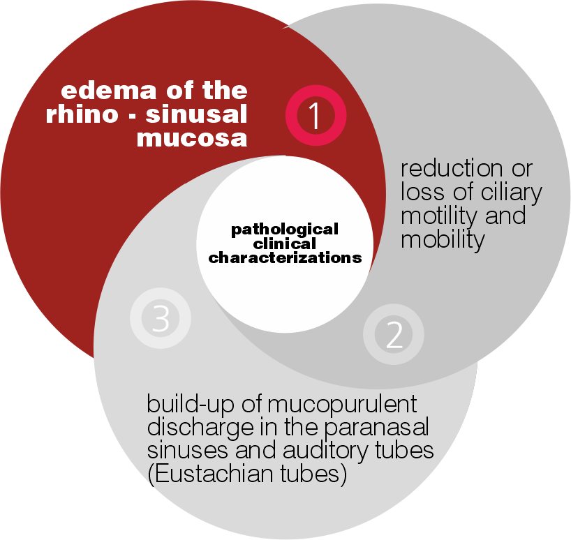 Edema della mucosa rino-sinusale