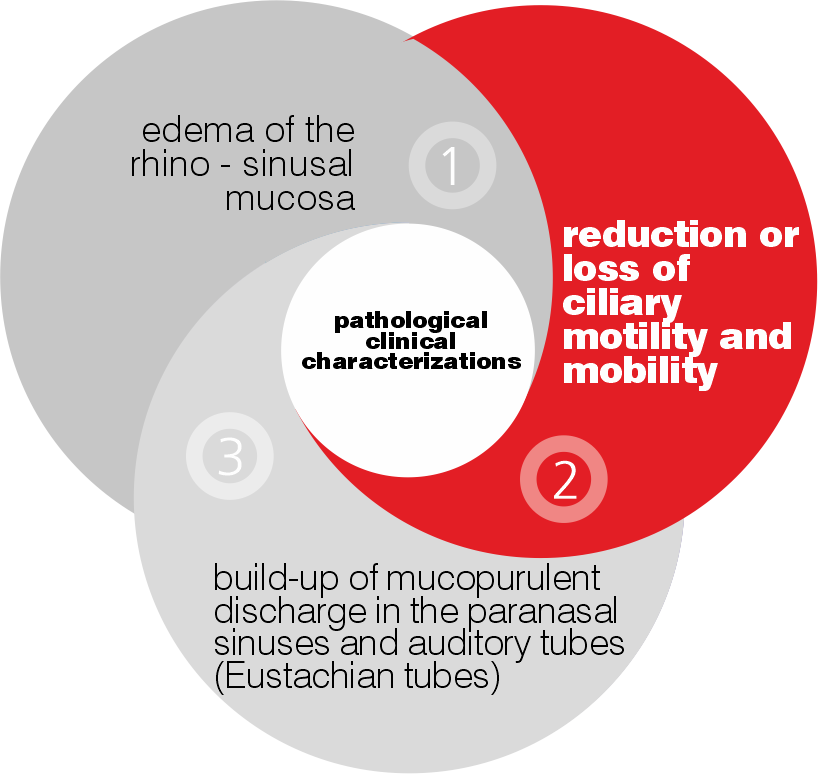 Riduzione o blocco della mobilità e motilità ciliare